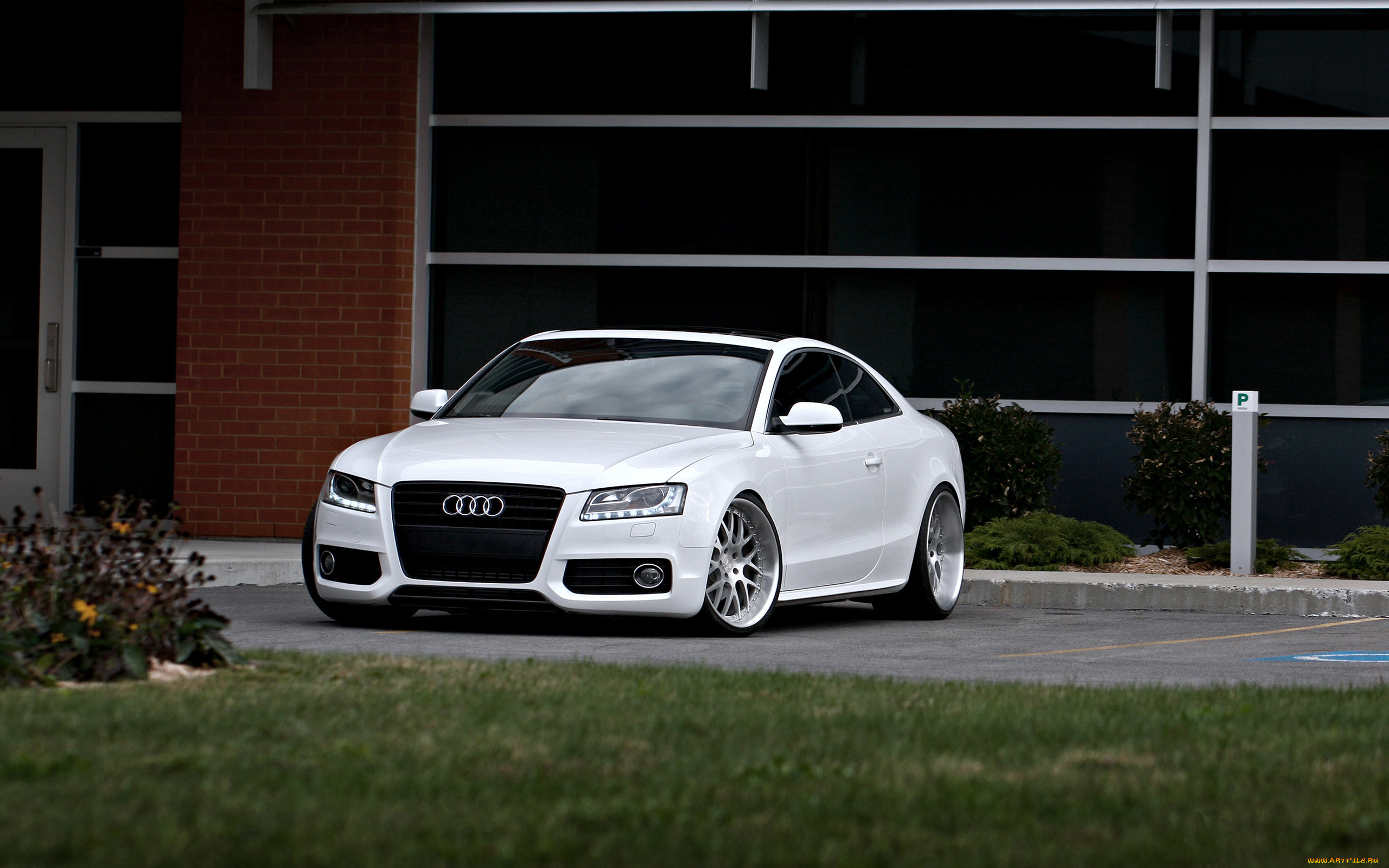 , audi